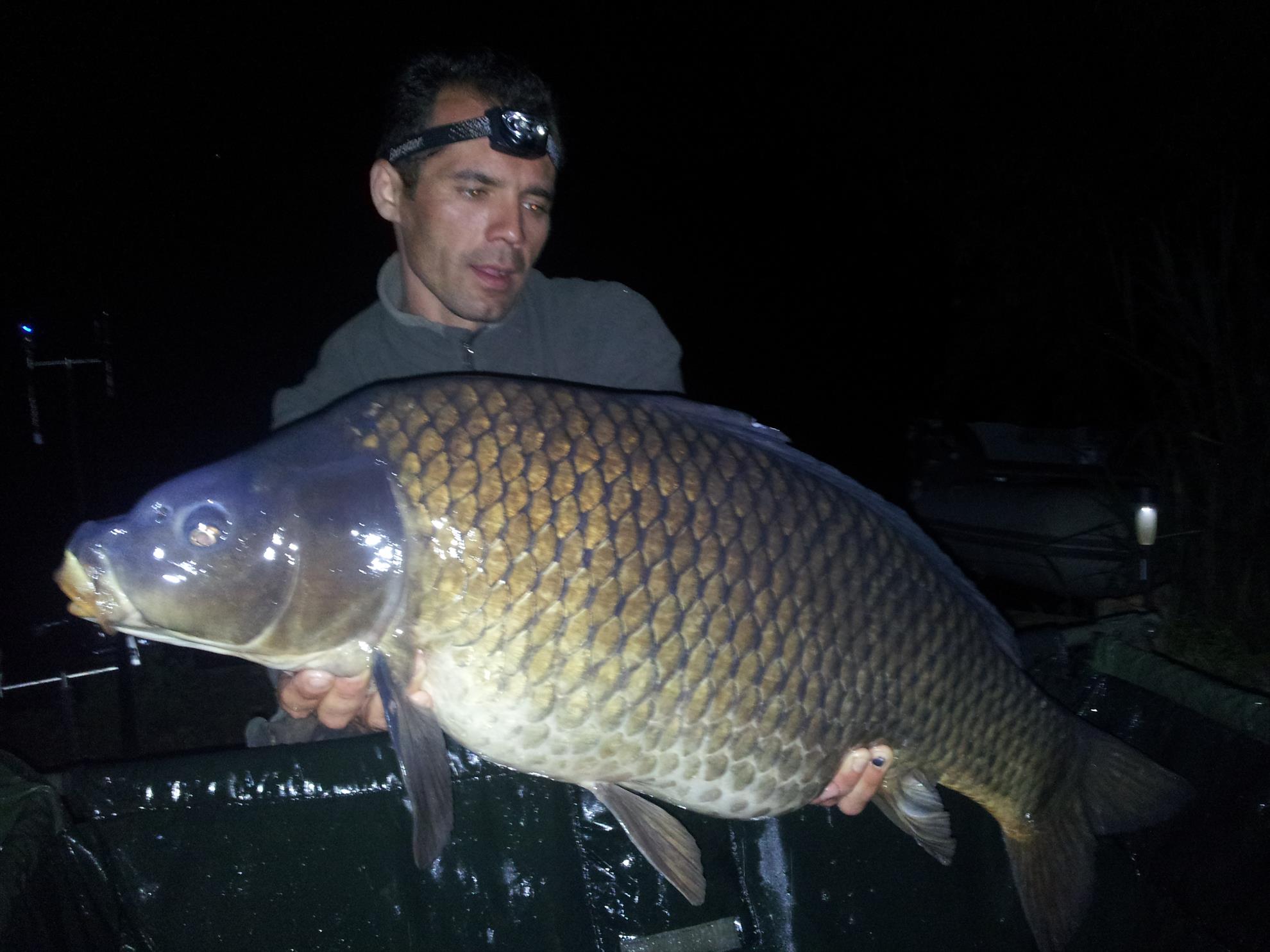 Tancabesti 1 - 4 iunie 2014 - 20140604002127.jpg